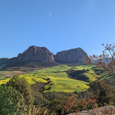 Cortijo Sylvestre Bed & Breakfast Ríogordo Dış mekan fotoğraf